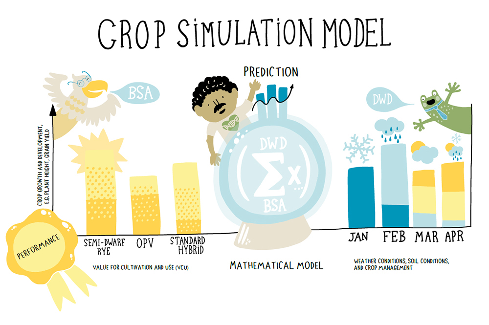 WP5_crop simulation model